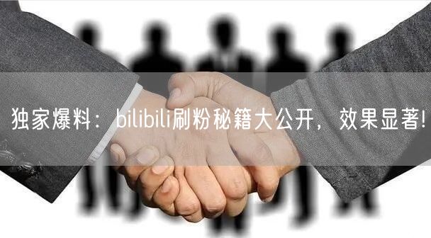 独家爆料：bilibili刷粉秘籍大公开，效果显著!